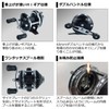 Daiwa Coronet 2 Hole Fishing/Wakasagi Reel, Black, Right Handle (2020