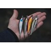 Rapala - Countdown Fishing Lure Elite Construction Balsa - Bait