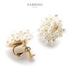 [Cream dot.] Cream Dot Earrings for Women, Popular, Hypoallergenic, Nickel