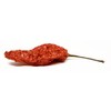 Ghost Peppers - Oven Dried 2 Oz.
