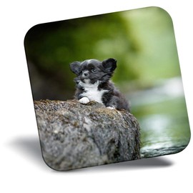 Destination Vinyl ltd Fridge Magnet - Tiny Chihuahua Puppy Dog Cute for Office, Cabinet and Whiteboard, Magnetic Stickers, 46366