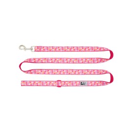 RC Pets Fun, Durable, Sporty Dog Leash-6 Feet x 3/4 Inch | Lil Heart