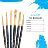 Princeton Brush Set 9137 6-Pc Gold Taklon