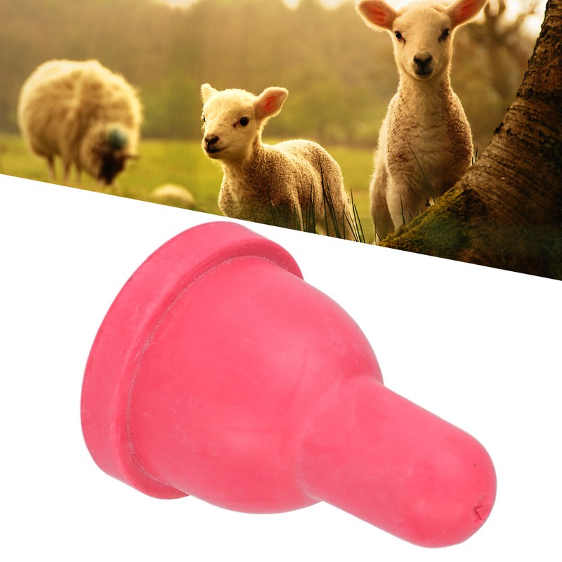 1Set Livestock Pacifier Milk Feed Bucket Pacifier Milk Drink Nipple