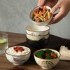 yaenoei 6 Pack Retro Ceramic Bowls, Hand-painted 4.5 Inch Japanese