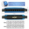 East top Blues Diatonic Harmonica in C, 10 Holes Blues