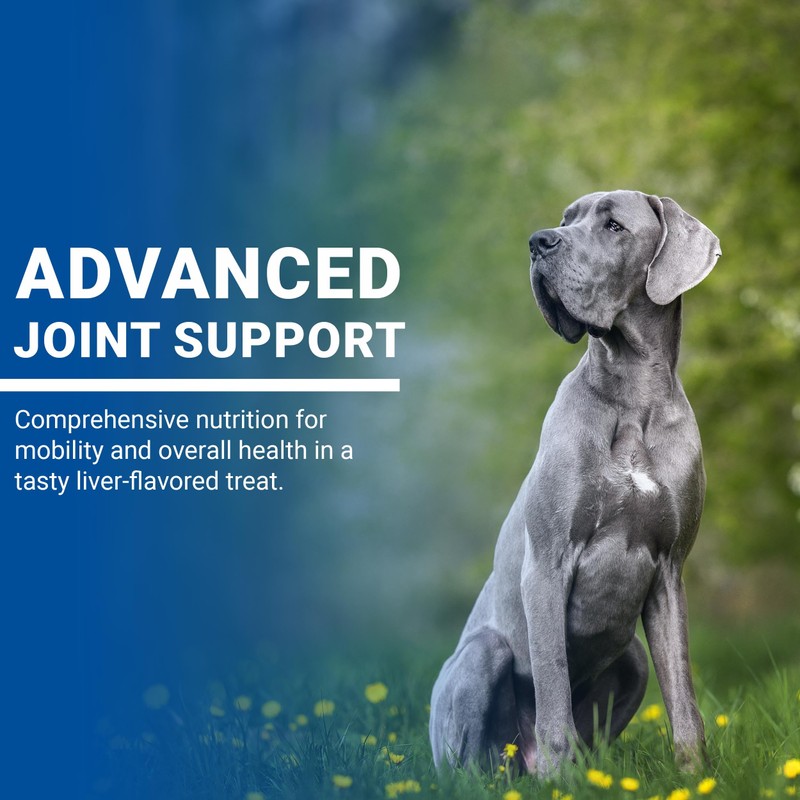 VPS SynovialMax Hip & Joint Soft Chews for Dogs, 240