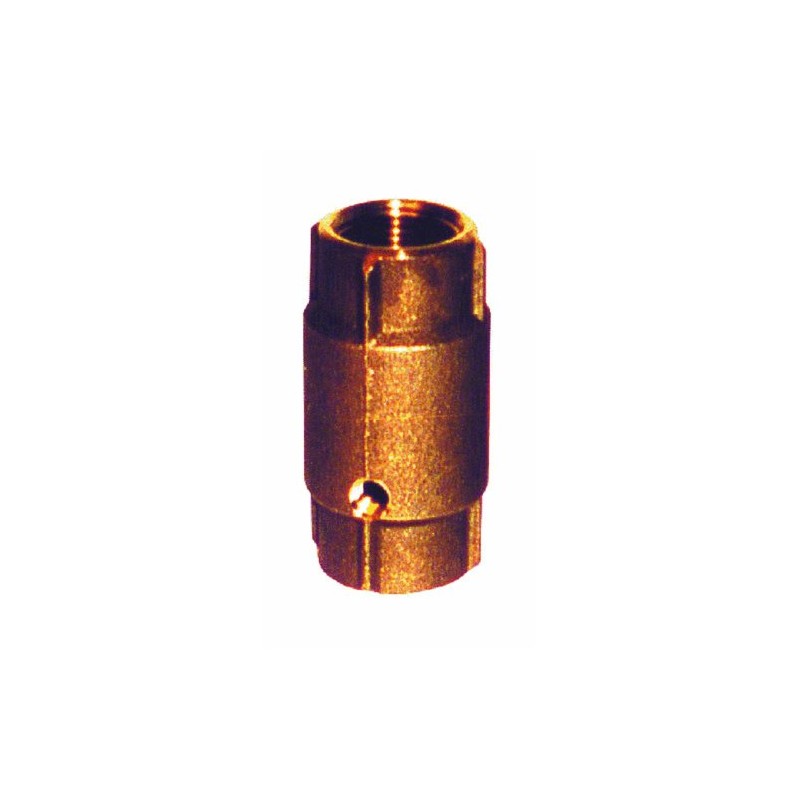 Simmons Double Tapped Check Valve