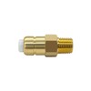Fitvell Thermal Release Valve for Pressure Washer Pump, 1/4 Inch