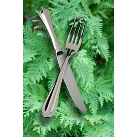 Fortessa Forge 18/10 Stainless Steel Flatware Table Fork, Set of 12,Silver