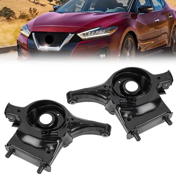 Rear Left & Right Side Lower Suspension Control Arm Compatible