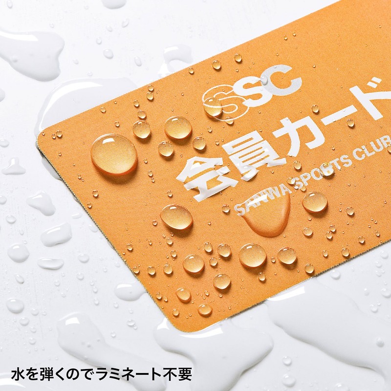 サンワサプライ レーザープリンタ用フィルムカード LBP-ID01