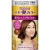 ブローネ らく塗り艶カラー 3R 100g [医薬部外品]
