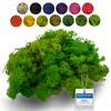 sphagnum-shop.com Real Decorative Moss Reindeer Moss in Light Green 500