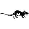 A7 'Rat' Unmounted Rubber Stamp (RS00032554)