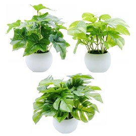 MedianField [Decorative Plants, Photocatalyst, Mini Potted Plant, Set of 3] Deodorizing & Antibacterial, Fake Green, Artificial Flowers, Potted Plants, Fashionable, Interior Goods, Artificial Fake Green, Tabletop, Green, Potted Plants, Leaf, Small Gift (