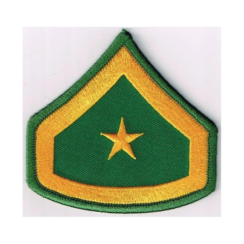 pick 1 FL or GA Police rank patch: Bulloch/Woodst