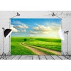 Loccor Fabric 8x6ft Sky Backdrop Summer Landscape Green Grass Road