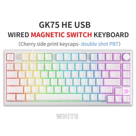 MOLGRIA x SKYLOONG 75% Gaming Keyboard, GK75 HE USB Wired Magnetic-Switch Mechanical Keyboard with Cherry Profile Double-Shot PBT Keycaps, South-Facing RGB Backlit and Knob(White Horizon Line)