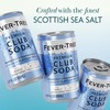 Fever Tree Club Soda Club Soda - Premium Quality Delicate