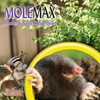 Bonide MOLEMAX Mole & Vole Repellent Granules, 10 lbs. Ready-to-Use,