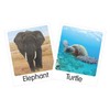 TEACH PLAY Paquete de Flash Cards Animals Idioma: Inglés 45