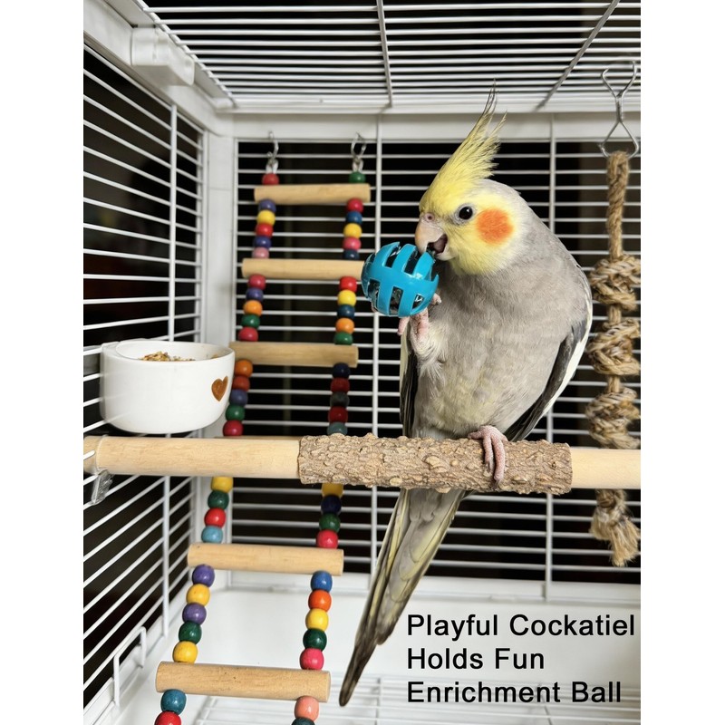DIYUQISHI 12-Pack Bird Bell Ball Chew Toys, Non-Toxic PP, Cage