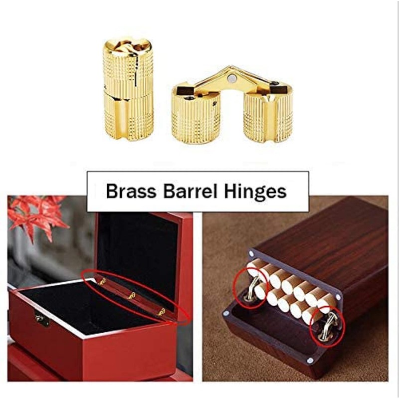 MIAO JIN 12 Pcs 16mm Brass Barrel Hinges Hidden Invisible