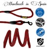 Anti Pull and Short Rope Lead for Small Medium and