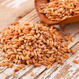 Organic Emmer Farro Seeds (200)  / ANCIENT WHEAT / GRAIN / EXTREMELY RARE