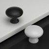 goldenwarm 10 Pack Black Knobs Cabinet Door Knobs Matte Black
