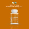 BULK SUPERFOODS | Curcuma Organica 100% Natural 60 Capsulas –