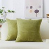 Home Brilliant Green Cushion Covers 50cm x 50cm, Super Soft Couch Cushions Covers Spring, Corduroy Striped Cushion Cover Pack of 2, 20 Inches Pillow Covers(50cm x 50cm, Grass Green)