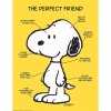 Eureka Classroom Posters Measures 17in x 22in Peanuts The Perfect Friend