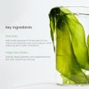 BIODANCE Mascarilla refrescante de algas marinas profundas, mscara de hidrogel