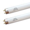 Flyercatch 2Pack F15W-T8-CW Cool White 15 Watt Fluorescent Bulb,18 inch