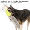 Pet Chew Toys Teeth Cleaning Biting Interactive Training Stuffed Plush