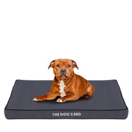 The Dog’s Bed Orthopedic Standard Foam Dog Bed Mattress, Oxford Fabric, Grey with Black Trim, Large