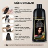 Shampoo Tinte Instantneo Cubre Canas Natural Jengibre 500ml
