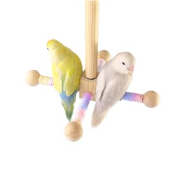 Bird Perch Toy，Bird Exercise Wheel Perch Toy, Interactive Spinning Parakeet Toys, Wooden Cage Accessories for Parakeets Cockatiels Lovebirds Conures Finches Budgies