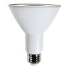 Diodesy- PAR30 LED Long Neck Flood Light Bulb 8W 800
