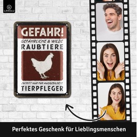 LANOLU Retro Tin Sign Caution Chickens, Chickens Accessories, Funny Signs with Sayings, Vintage Metal Signs Chicken Decoration for the Chicken Coop, Warning and Garden Sign as Chicken Decoration, 15 x