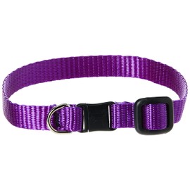 LupinePet Basics 1/2" Purple Cat Safety Collar , 8-12"