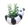 Youfui Cute Panda Flowerpot Animal Resin Succulent Planter Desk Mini