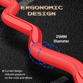 47" Olympic EZ Curl Bar - 500lb Capacity Heavy Duty Chrome Curling Bar for Biceps Triceps Workout, With 2 Spring Collars, Fits 2" Standard Weight Plates for Home & Gym Strength Training