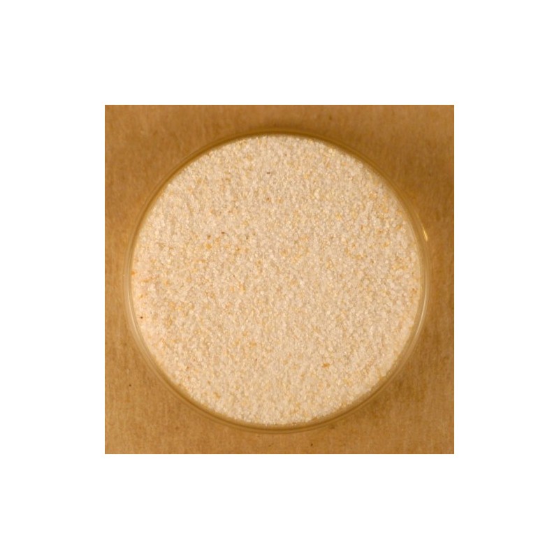 Garlic Salt - 25 lbs Bulk