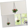 CAXUSD 2Pcs Iron Air Plant Holders Hanging Plant Shelves for