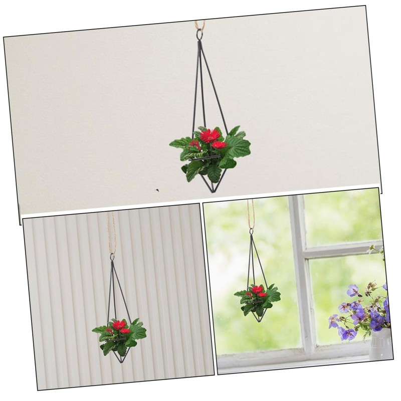 CAXUSD 2Pcs Iron Air Plant Holders Hanging Plant Shelves for