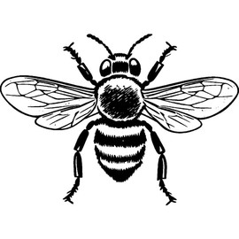 'Bee' Rubber Stamp - Unmounted Design for Crafting & Scrapbooking, A8 (RS00050870)