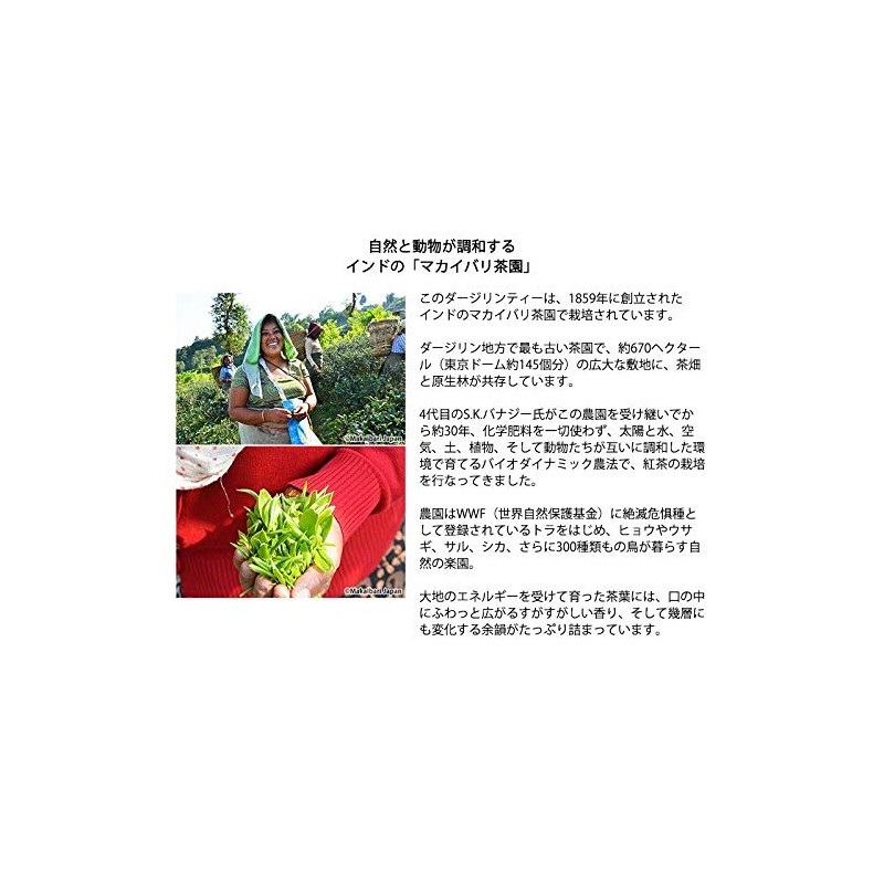 organic flavored tea tea bag rose